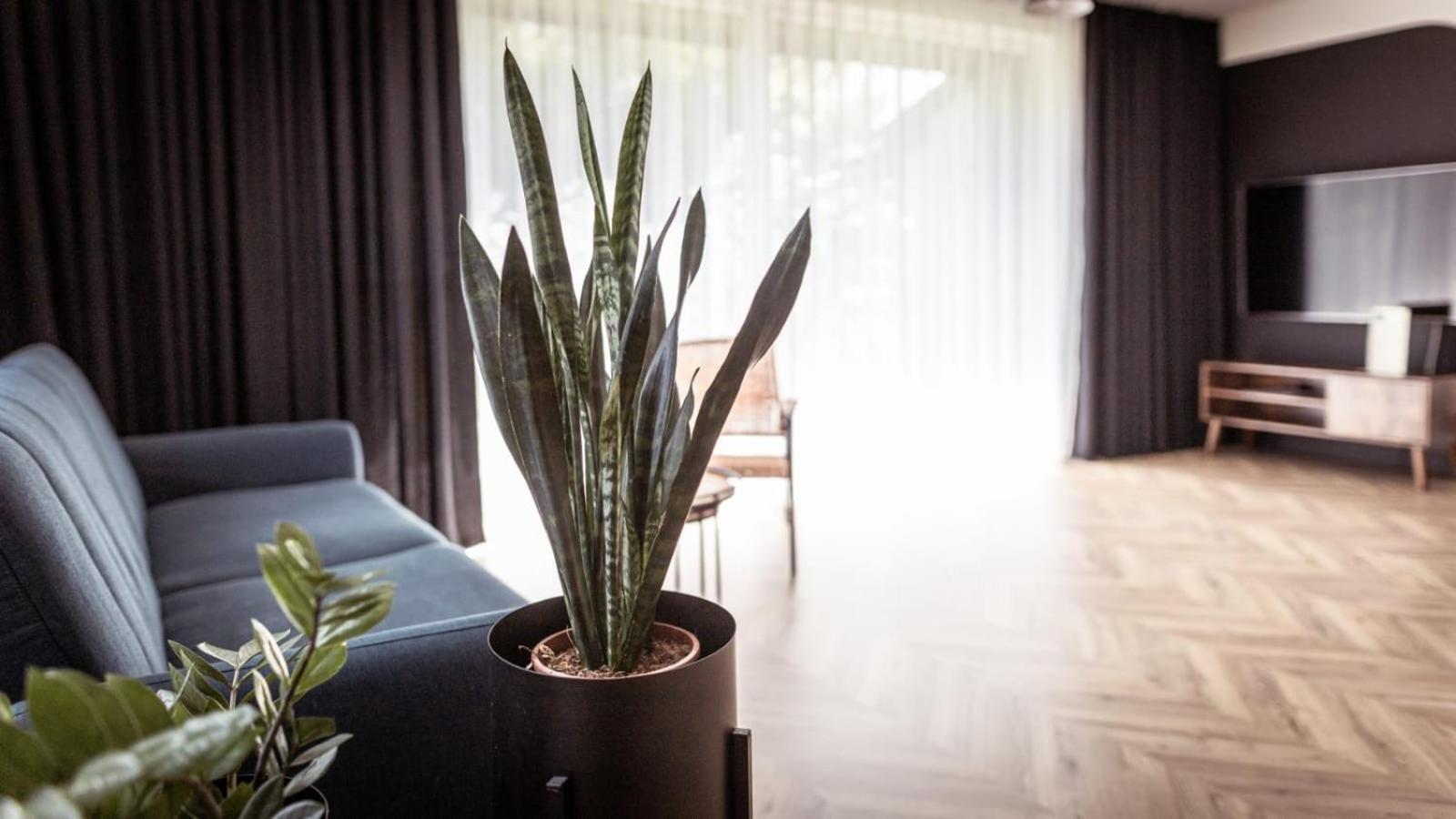 Apartments Abcd Biała Podlaska Εξωτερικό φωτογραφία