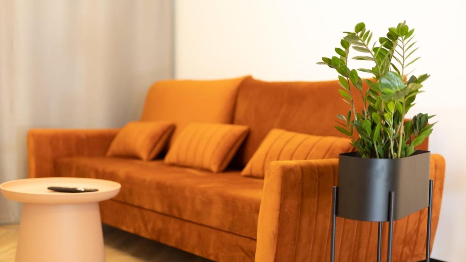 Apartments Abcd Biała Podlaska Εξωτερικό φωτογραφία